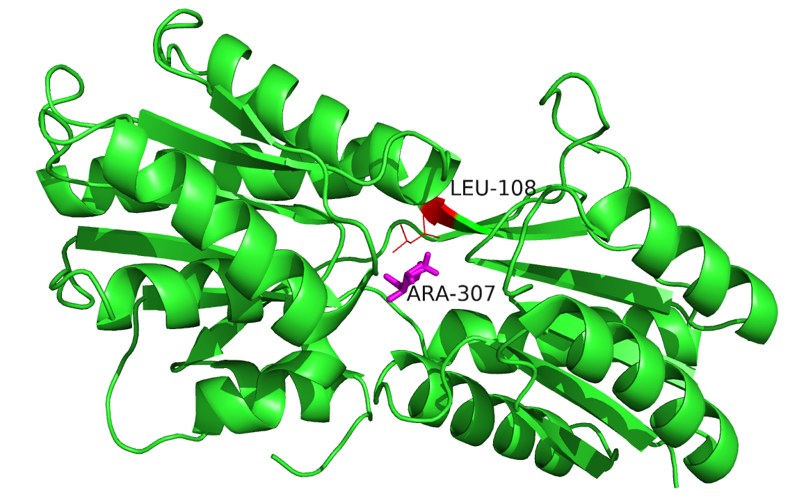 Mutation protein